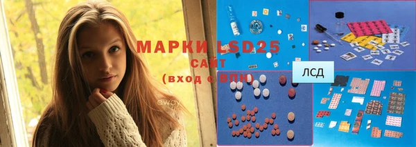 твердый Володарск