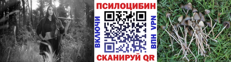 OMG зеркало  Лобня  Галлюциногенные грибы мухоморы 